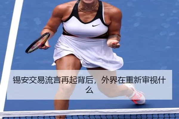锡安交易流言再起背后，外界在重新审视什么